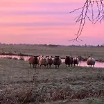 Holiday home De Beijersche Stee , Landhuysje Stolwijk