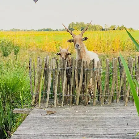 Dom wakacyjny De Beijersche Stee , Landhuysje