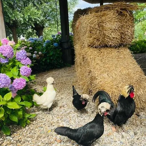 De Beijersche Stee , Landhuysje Vakantiehuis *