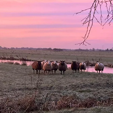 Nyaraló De Beijersche Stee , Landhuysje Stolwijk