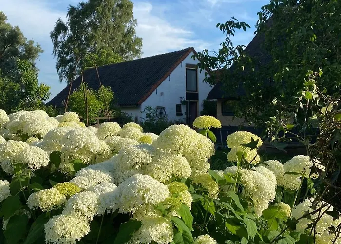 De Beijersche Stee , Landhuysje بيت للعطل Stolwijk